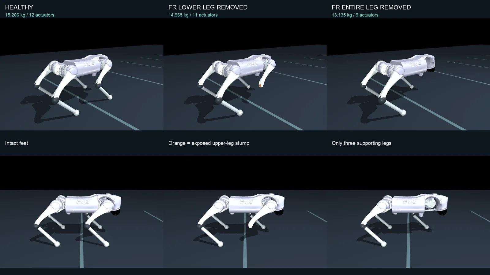 Static Go2 bodies: healthy, front-right lower leg removed with an orange stump, front-right entire leg removed
